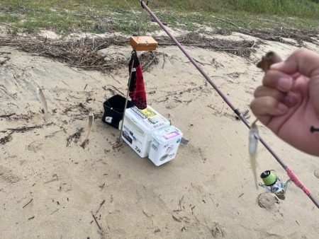 近場のサーフで投げたのですがあまり釣れませんでした