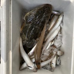 チーム主催の大会を実施しました