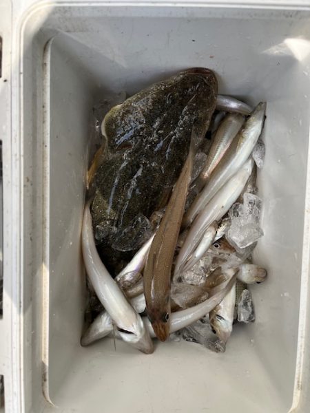 チーム主催の大会を実施しました