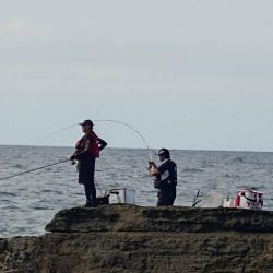和歌山市江（吉丸渡船）でグレ釣り