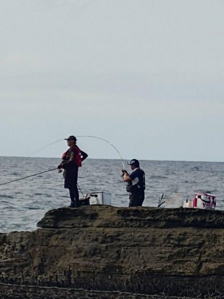 和歌山市江（吉丸渡船）でグレ釣り