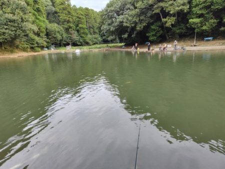 船釣りが中止になってしまったので・・・