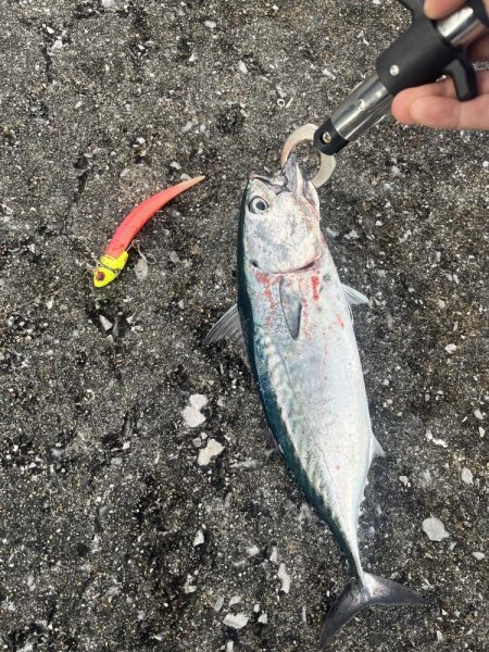 津久見　保戸島