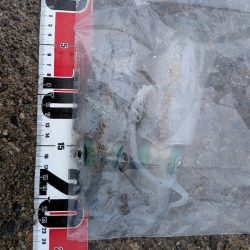 アジング、エギング