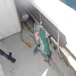 完全フカセ第2戦〜倉丸〜