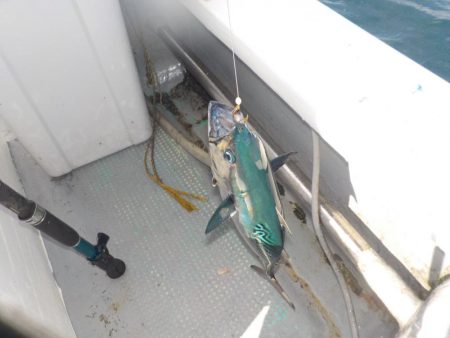 完全フカセ第2戦〜倉丸〜