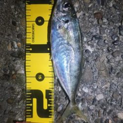 底物を調査してみた