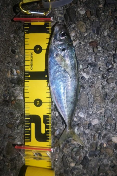 底物を調査してみた