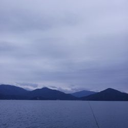 とりあえずアオリ7回目