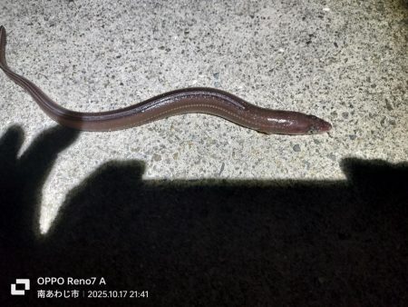 久しぶりの淡路島