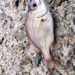 チャリ子がいっぱい