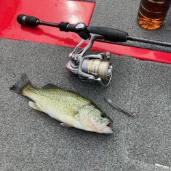 ディープホール55cm