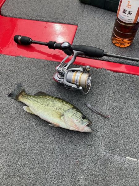 ディープホール55cm