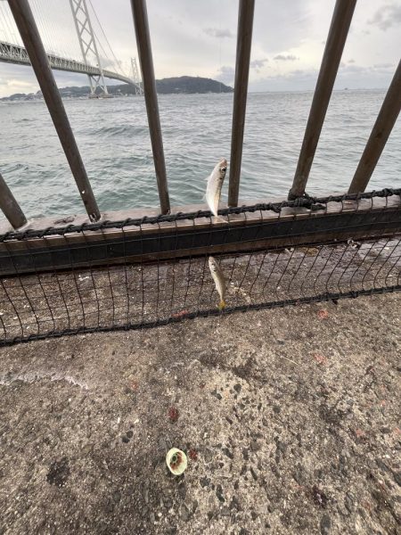 釣果も天気も寒い