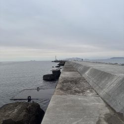 見とれていると