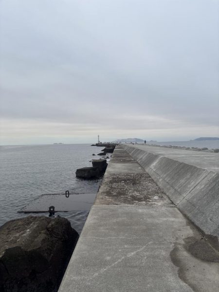 見とれていると