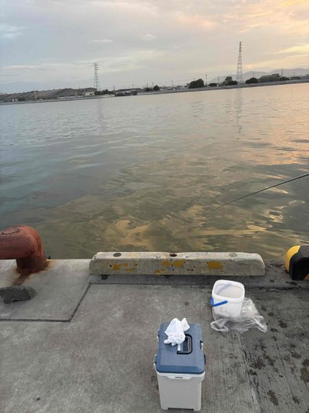 たかたかの釣り日記