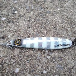 武庫川一文字で祭りならず、サゴシ1匹ゲット