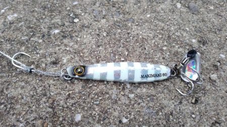 武庫川一文字で祭りならず、サゴシ1匹ゲット