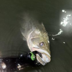 忍者ドリフトで水面炸裂