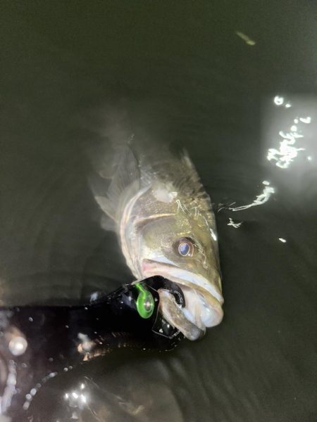 忍者ドリフトで水面炸裂