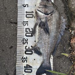 イチノ兄弟、釣果!