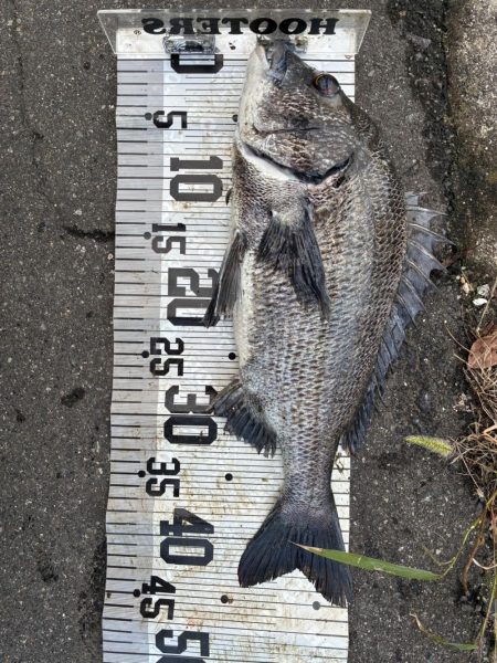 イチノ兄弟、釣果!