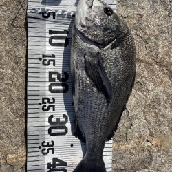 イチノ兄弟、釣果！