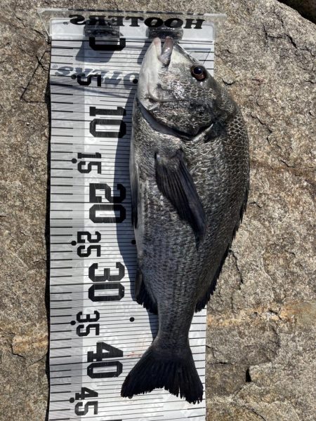 イチノ兄弟、釣果！