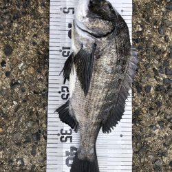 イチノ兄弟、釣果!