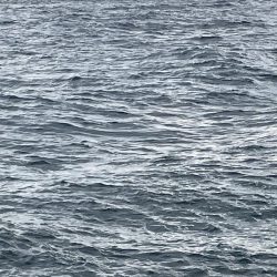 2025 佐渡ヶ島エギング Vol.34【10月19日】