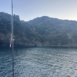 久しぶりのアジ