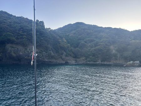 久しぶりのアジ