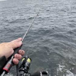 2025 佐渡ヶ島エギング Vol.40【10月26日】