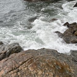 うねりエギング