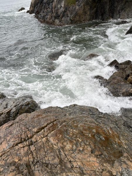 うねりエギング