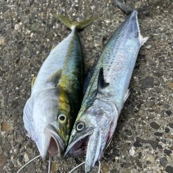 ライトショアジギング