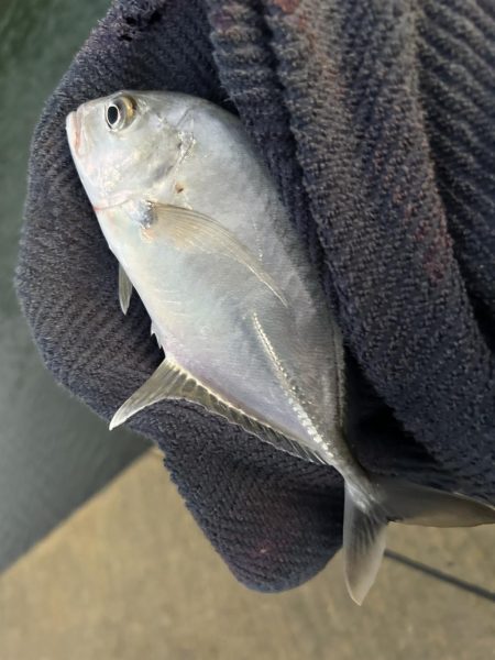 帰ってきたメッキ！４種コンプリート！