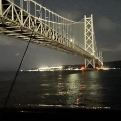 まだ大サバ釣れるんですね