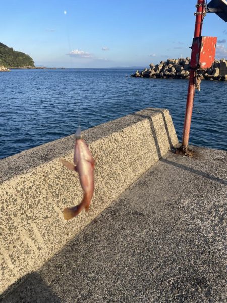 ちょい投げとブラクリ