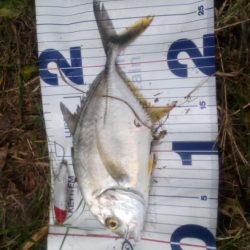 本日の釣行は楽しかったです＾＾。