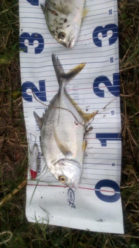 本日の釣行は楽しかったです＾＾。