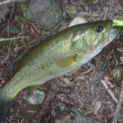 秋のバス釣り