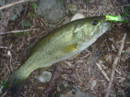 秋のバス釣り