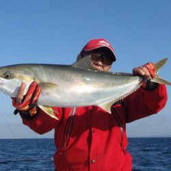 青物落とし込み釣り