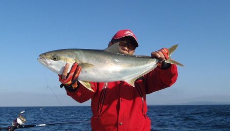 青物落とし込み釣り