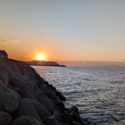 朝マズメのエギング