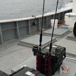 伊勢湾サワラキャスティング