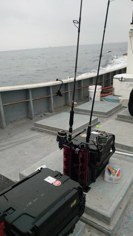 伊勢湾サワラキャスティング