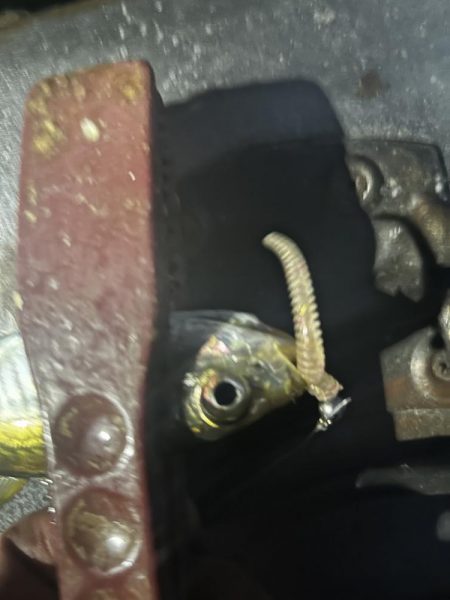 そろそろアジング